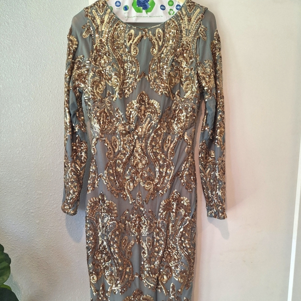 Stunning Sequin Gown Dress the Population